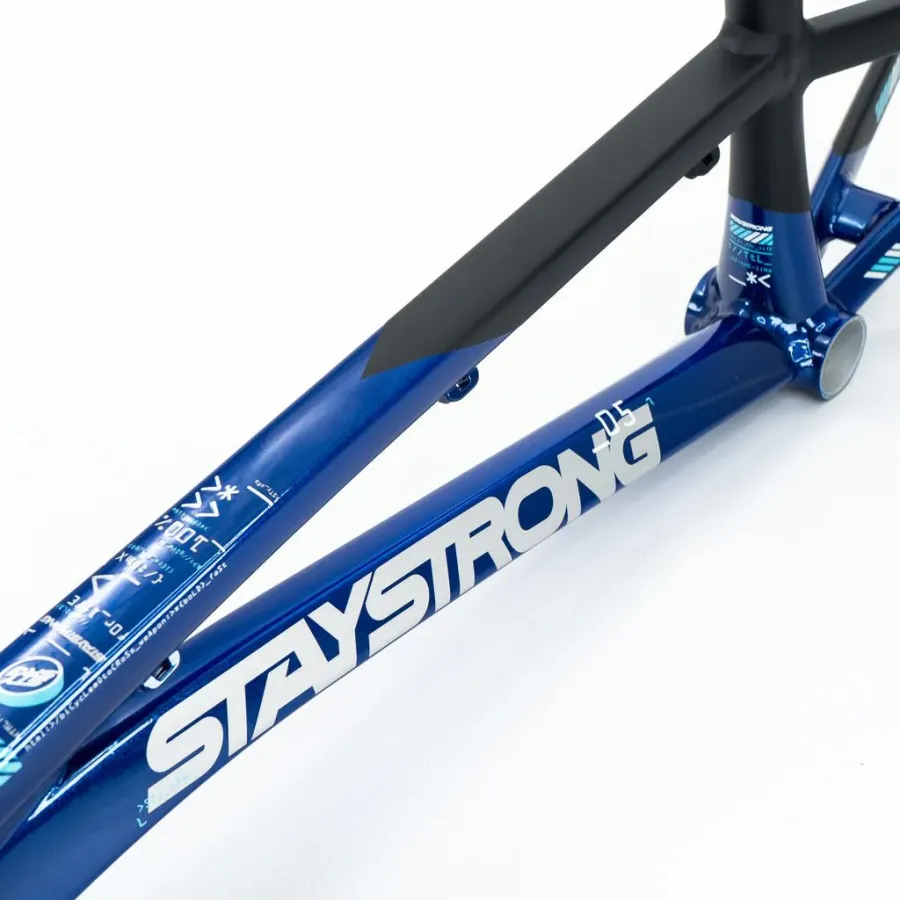 Stay Strong V5 Disc Only Frame 2025 Navy/Black